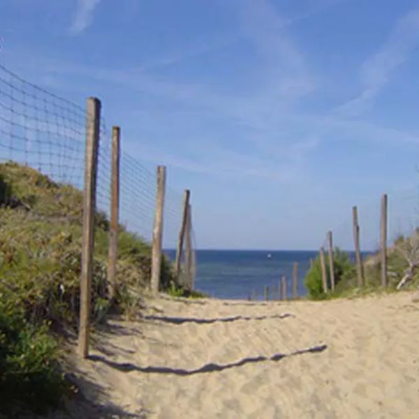la-cote-sauvage-st-clement-des-baleines-nzfne