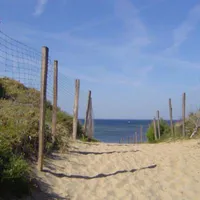 la-cote-sauvage-st-clement-des-baleines-nzfne