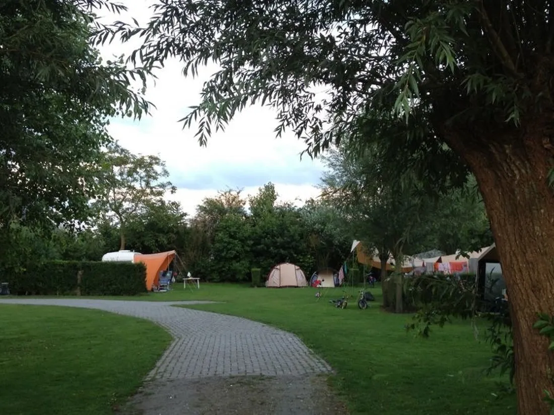 minicamping-de-knokkert-cadzand-cl8dk