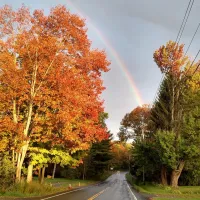 alps-family-campground-averill-park-85leg