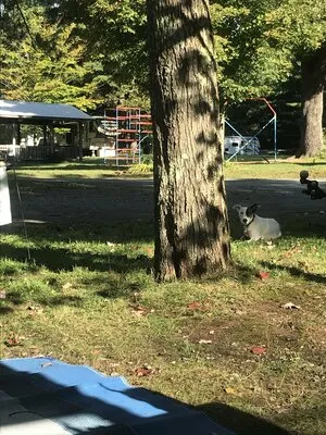 alps-family-campground-averill-park-rgrbn