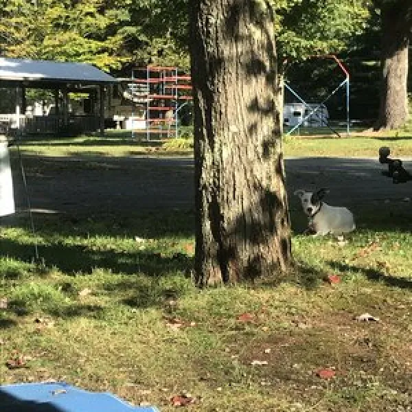 alps-family-campground-averill-park-rgrbn