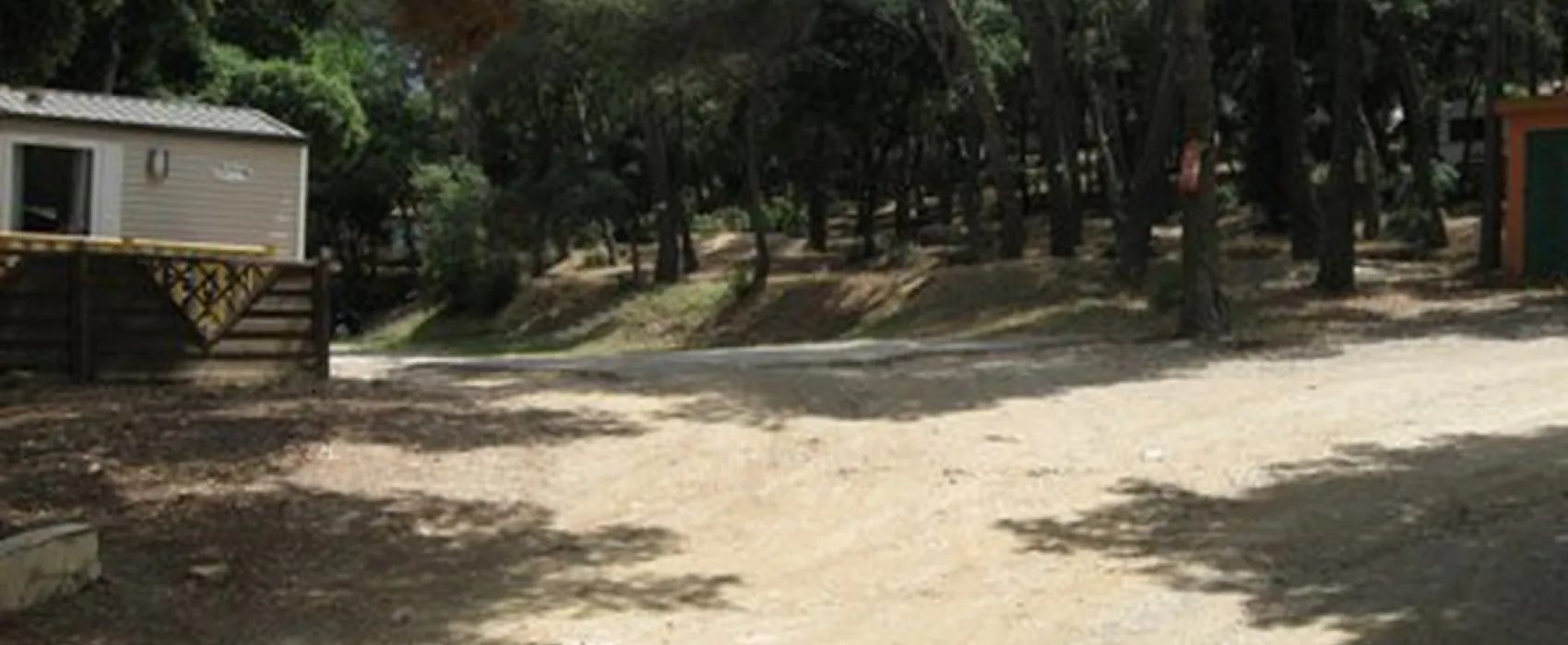 Buffalo Hacienda