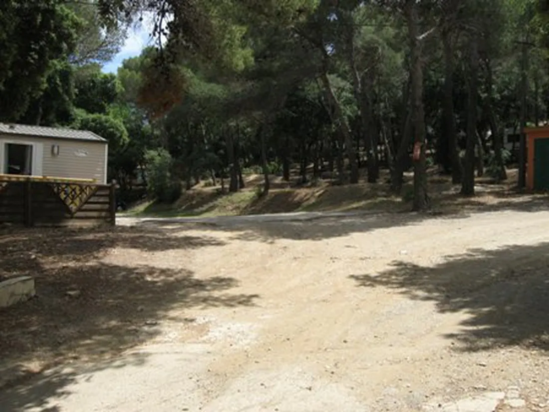 buffalo-hacienda-la-seyne-sur-mer-lfxhs