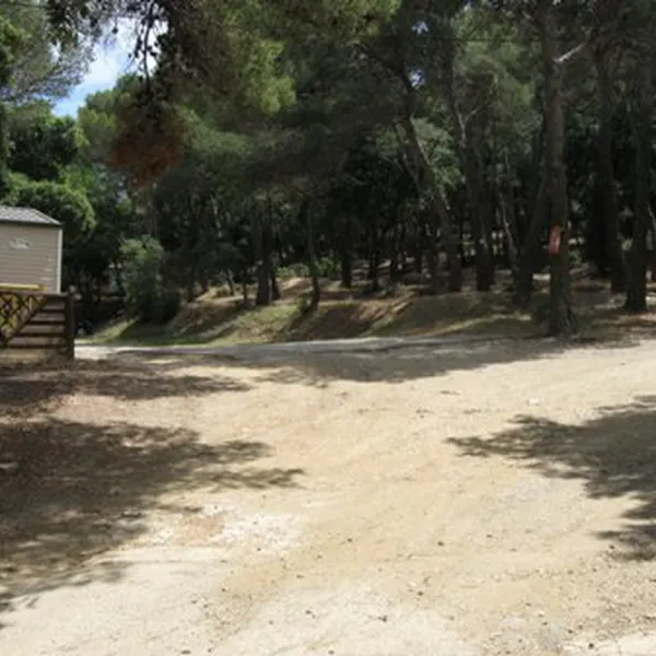 buffalo-hacienda-la-seyne-sur-mer-lfxhs