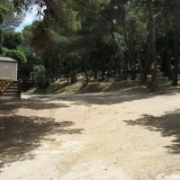 buffalo-hacienda-la-seyne-sur-mer-lfxhs