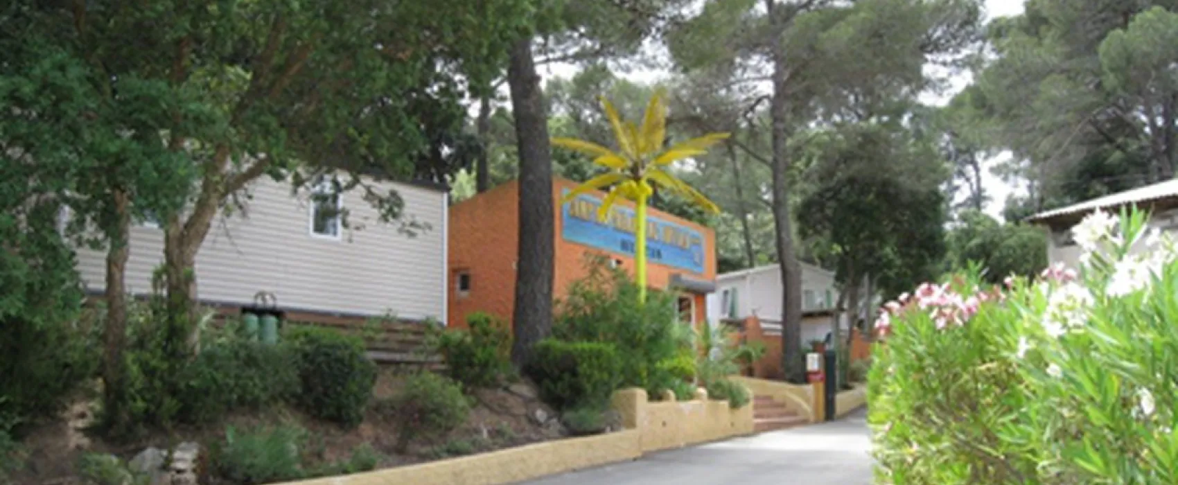 Buffalo Hacienda