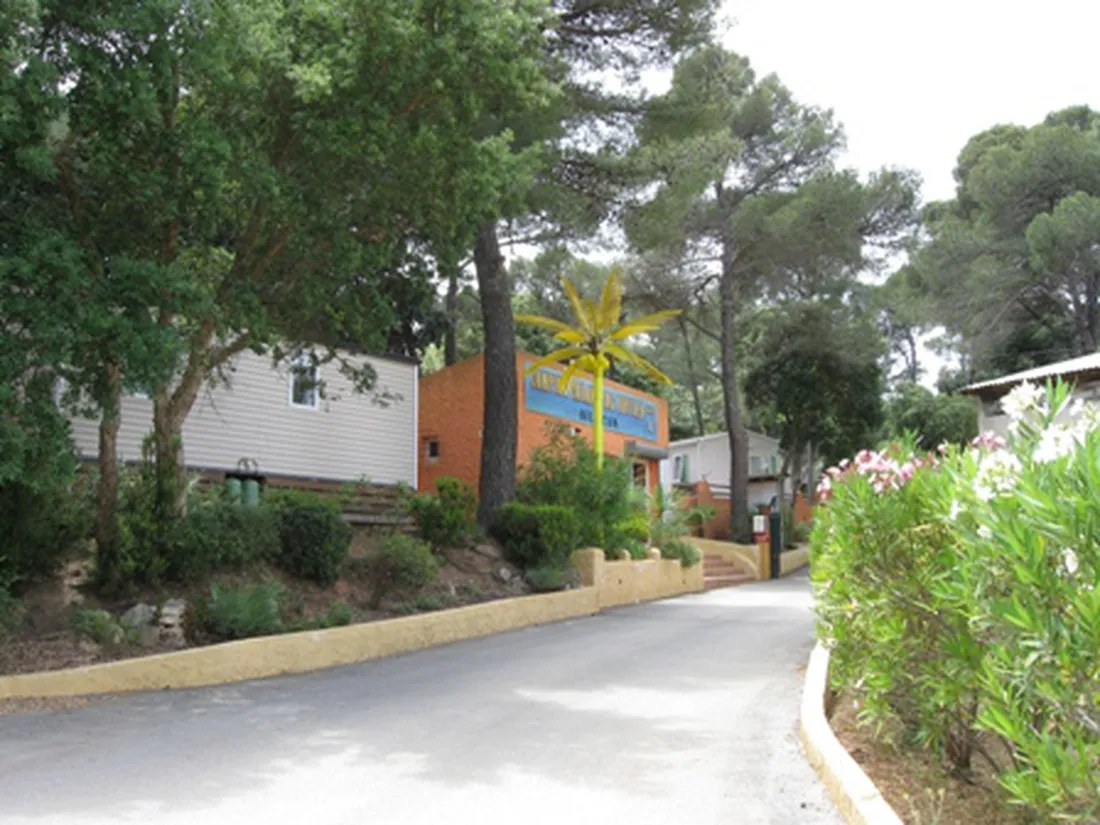 buffalo-hacienda-la-seyne-sur-mer-u8ocr