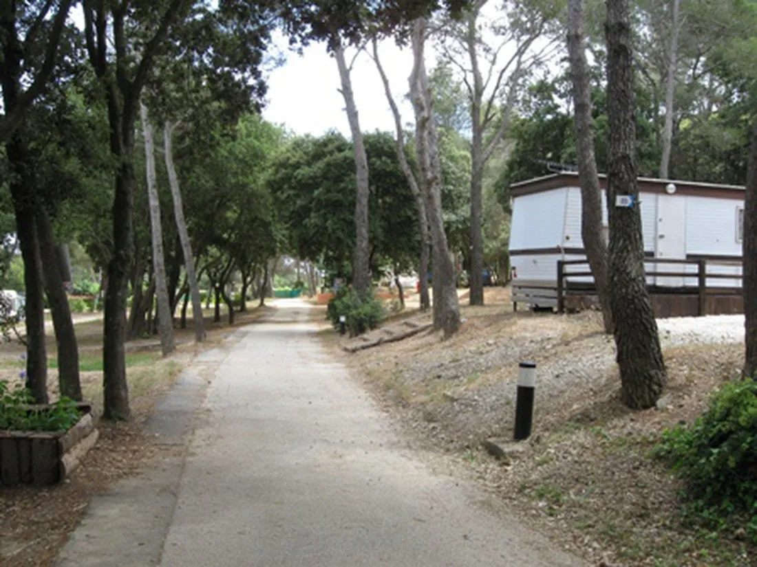 buffalo-hacienda-la-seyne-sur-mer-w3owd