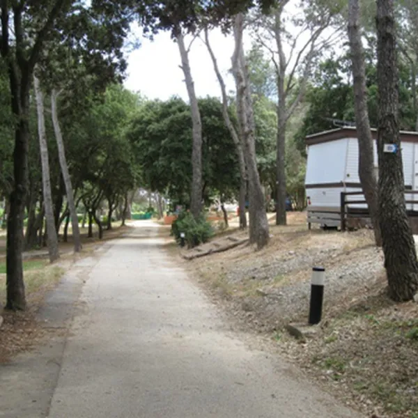 buffalo-hacienda-la-seyne-sur-mer-w3owd