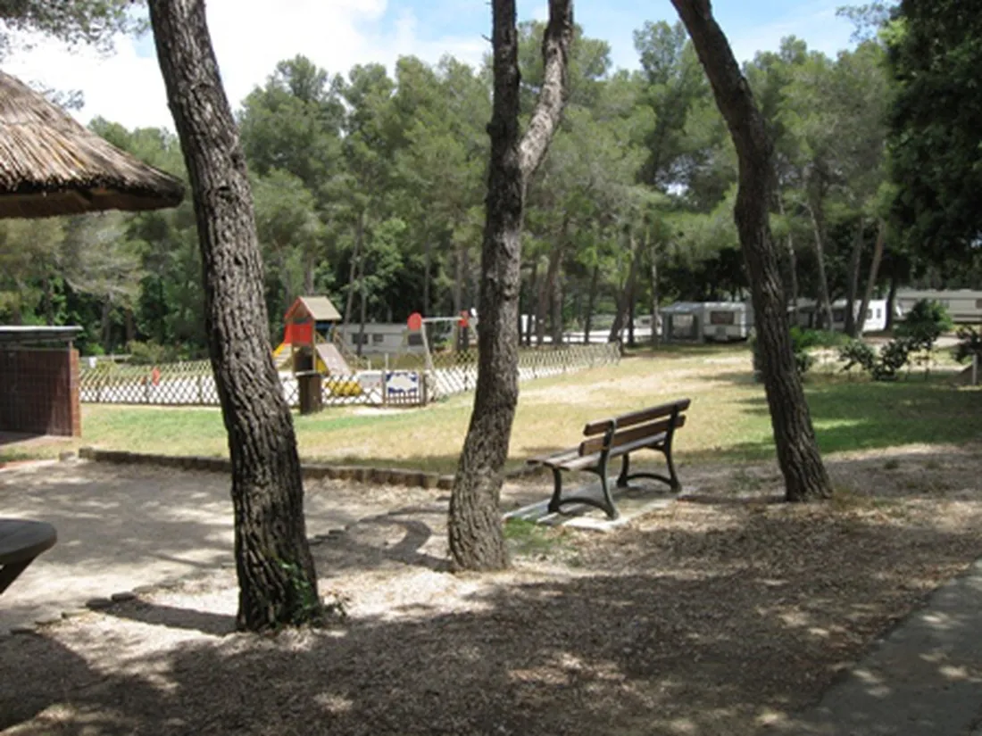 buffalo-hacienda-la-seyne-sur-mer-wrncr