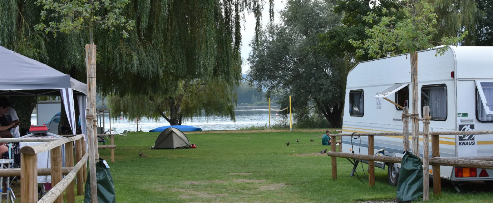 Markelfingen