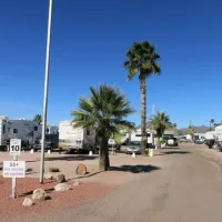 blue-star-rv-resort-apache-junction-aoonx