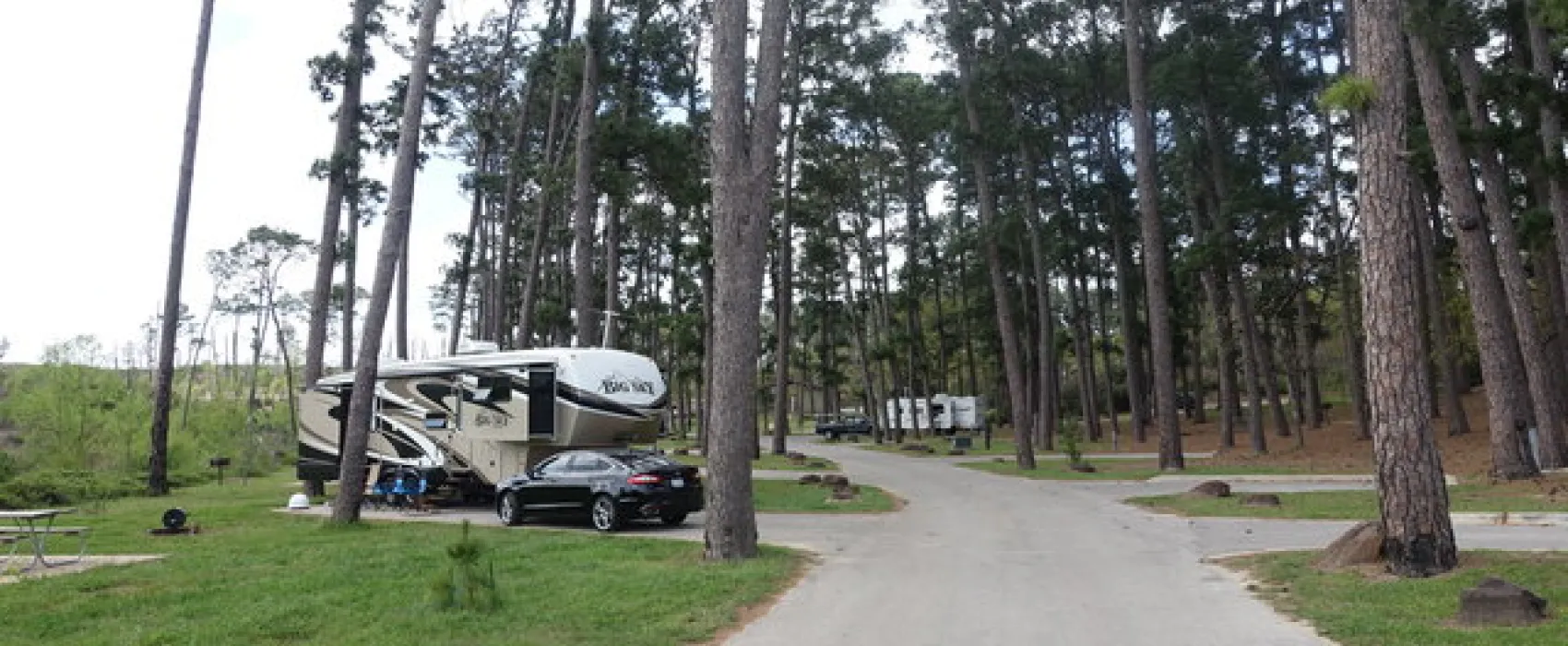 Bastrop State Park