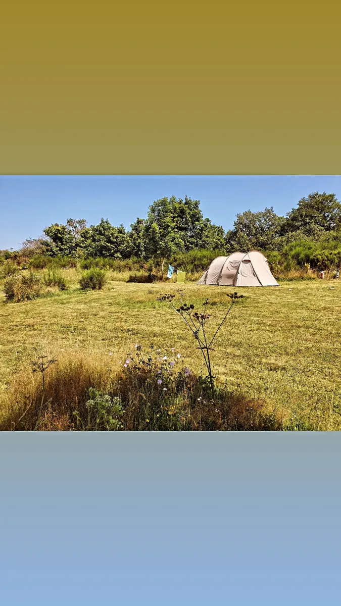 domaine-des-recircves-roulottes-vakantiehuis-gouttieres-puy-de-dome-mi5mm