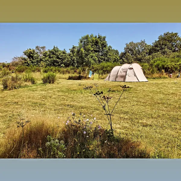 domaine-des-recircves-roulottes-vakantiehuis-gouttieres-puy-de-dome-mi5mm