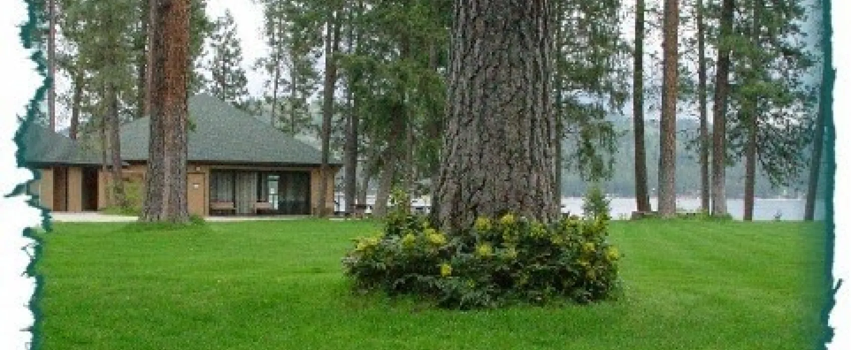 Deer Lake Resort