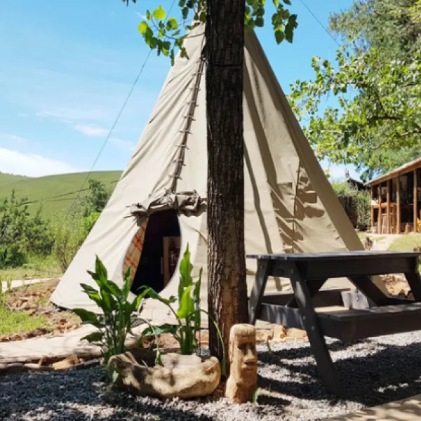 nguni-moon-tepee-camp-underberg-mbvt8