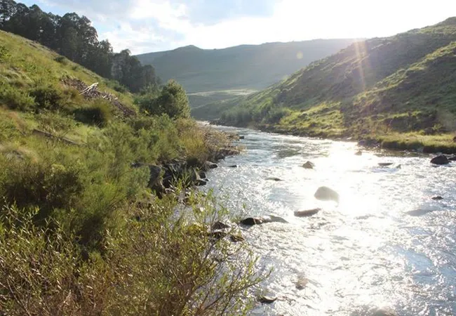 nguni-moon-tepee-camp-underberg-zerue