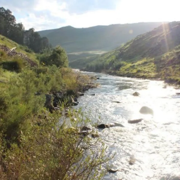 nguni-moon-tepee-camp-underberg-zerue