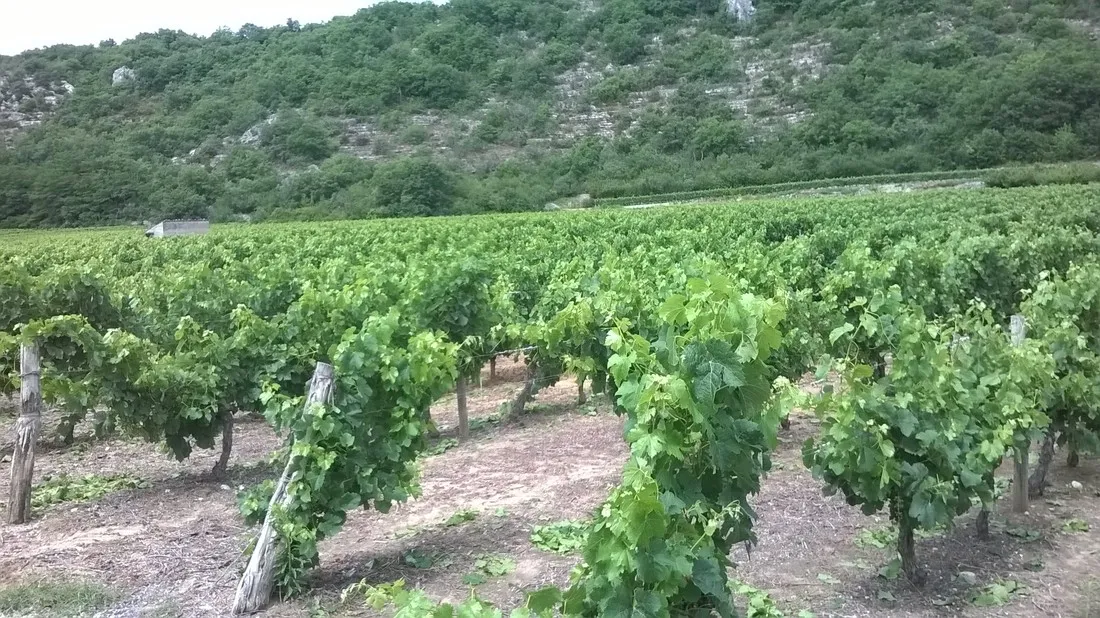 la-falaise-balazuc-ardeche-etc3g