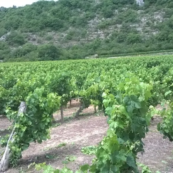la-falaise-balazuc-ardeche-etc3g