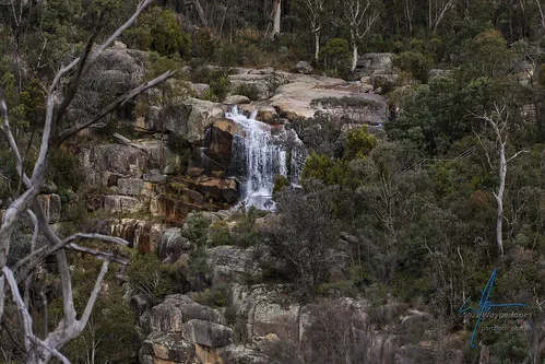 woods-reserve-campground-paddys-river-rjhab
