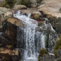 woods-reserve-campground-paddys-river-x0rcw