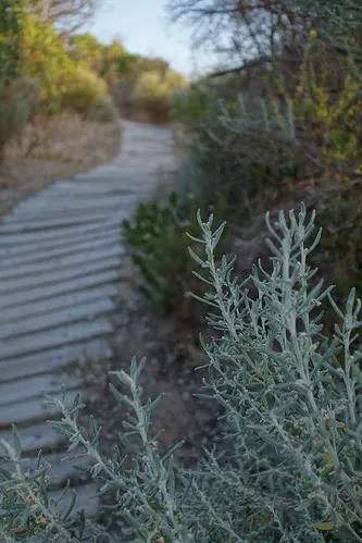 42-mile-crossing-campground-coorong-a0unu