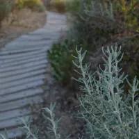 42-mile-crossing-campground-coorong-a0unu