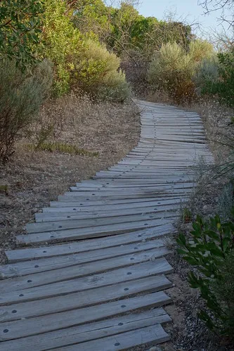 42-mile-crossing-campground-coorong-dmoqr