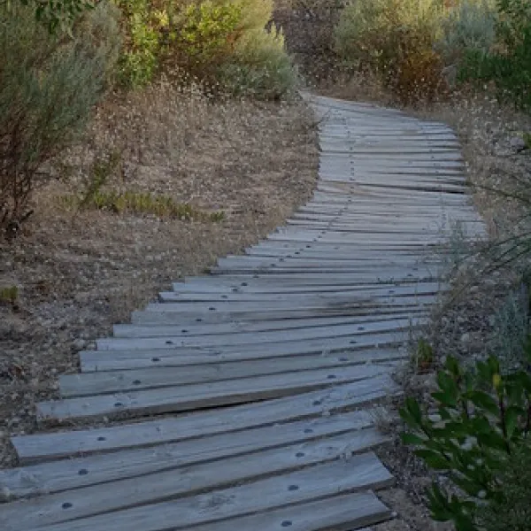 42-mile-crossing-campground-coorong-dmoqr
