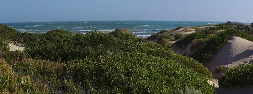 42-mile-crossing-campground-coorong-jtky8