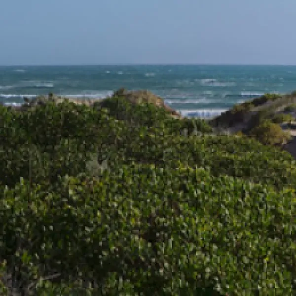 42-mile-crossing-campground-coorong-jtky8