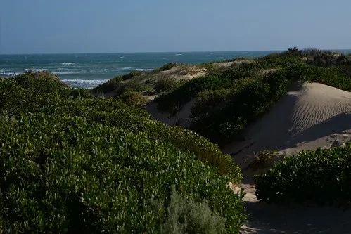 42-mile-crossing-campground-coorong-mozoq