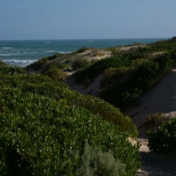 42-mile-crossing-campground-coorong-mozoq