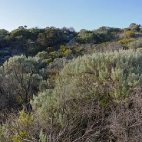 42-mile-crossing-campground-coorong-szndw