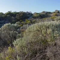 42-mile-crossing-campground-coorong-szndw