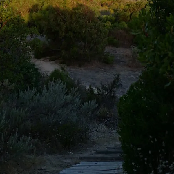 42-mile-crossing-campground-coorong-vjkv2