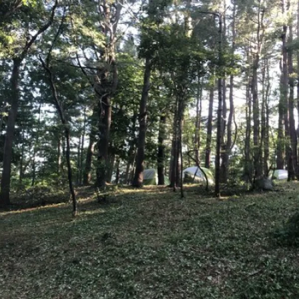cape-ann-campsite-west-gloucester-7hq0k