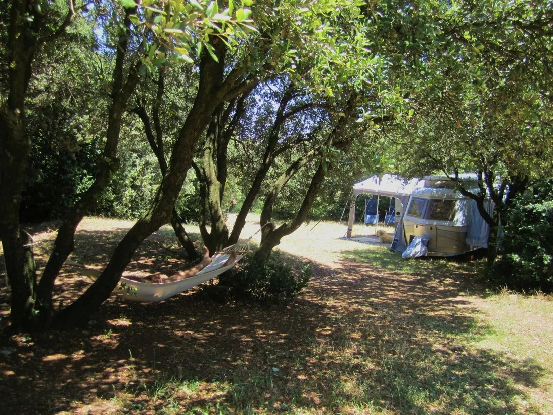 le-domaine-de-la-louviere-st-chinian-ld202