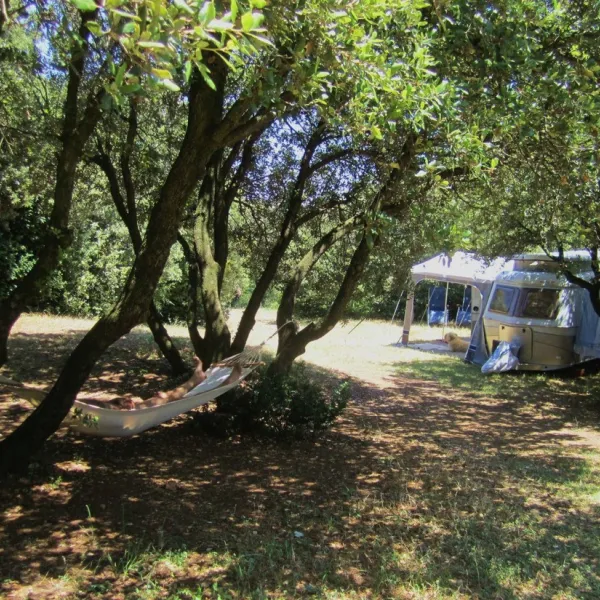 le-domaine-de-la-louviere-st-chinian-ld202