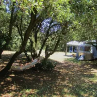le-domaine-de-la-louviere-st-chinian-ld202