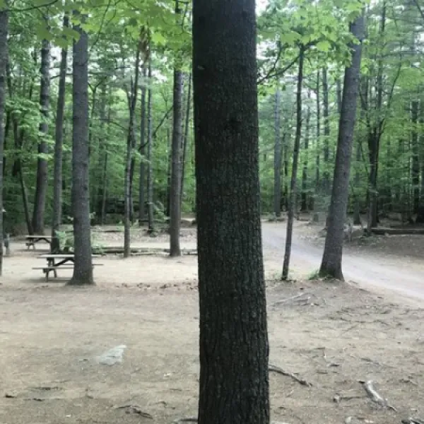 poland-spring-campground-poland-spring-aky2d