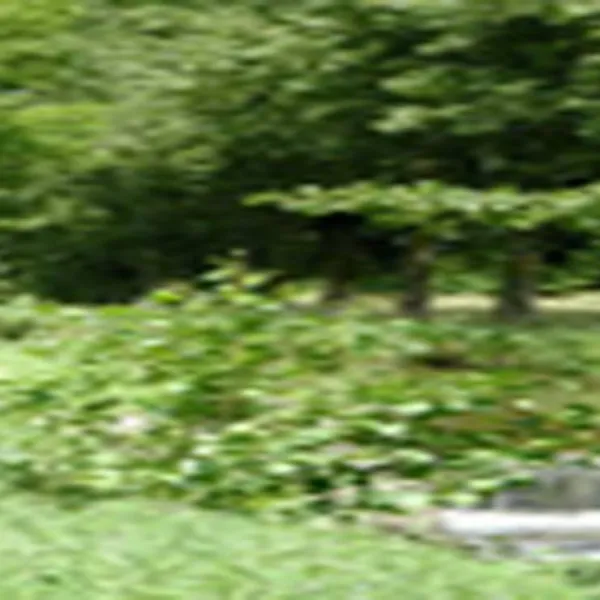 camping-le-gue-chemery-ghruq