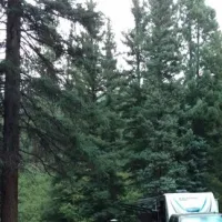 aspen-glade-campground-antonito-fbxud