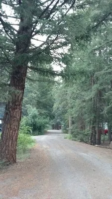 aspen-glade-campground-antonito-ursnz