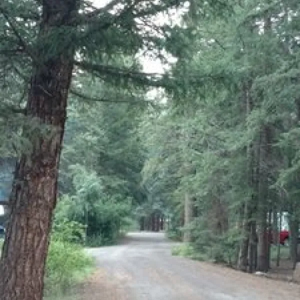 aspen-glade-campground-antonito-ursnz