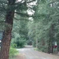 aspen-glade-campground-antonito-ursnz
