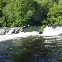 Les Roches des Parc